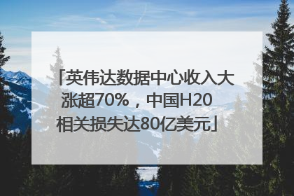 英伟达数据中心收入大涨超70%，中国H20相关损失达80亿美元