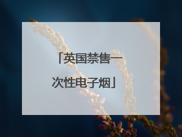 英国禁售一次性电子烟