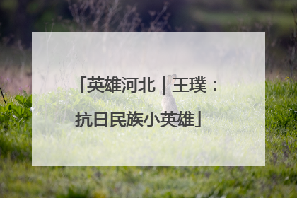 英雄河北｜王璞：抗日民族小英雄