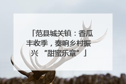 范县城关镇：香瓜丰收季，奏响乡村振兴 “甜蜜乐章”