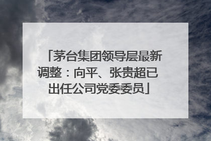 茅台集团领导层最新调整：向平、张贵超已出任公司党委委员