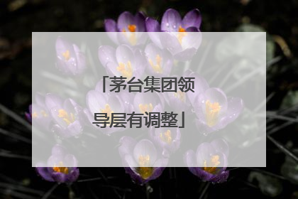 茅台集团领导层有调整
