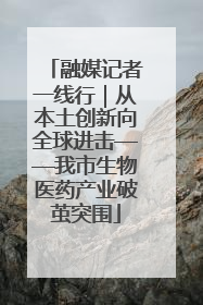 融媒记者一线行｜从本土创新向全球进击——我市生物医药产业破茧突围