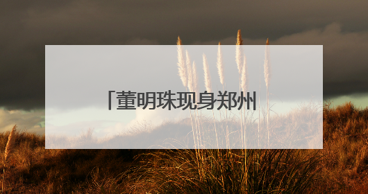 董明珠现身郑州 为了啥？干了啥？