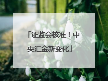 证监会核准！中央汇金新变化