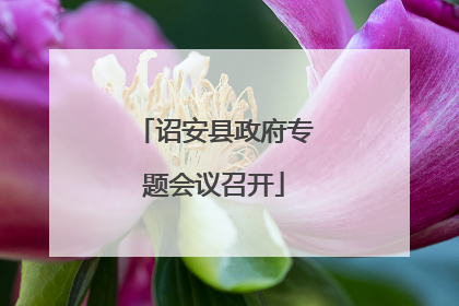 诏安县政府专题会议召开