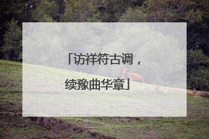 访祥符古调，续豫曲华章