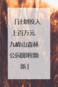 计划投入上百万元 九峰山森林公园即将焕新