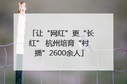 让“网红”更“长红” 杭州培育“村播”2600余人