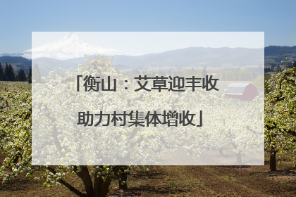 衡山：艾草迎丰收 助力村集体增收