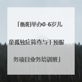 衡阳举办0-6岁儿童孤独症筛查与干预服务项目业务培训班
