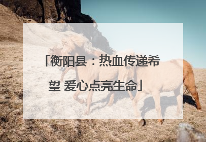 衡阳县：热血传递希望 爱心点亮生命
