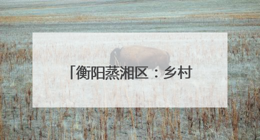 衡阳蒸湘区：乡村学校的美育突围