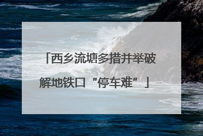 西乡流塘多措并举破解地铁口“停车难”