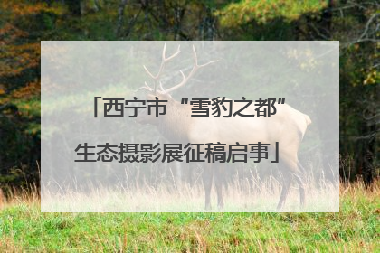 西宁市“雪豹之都”生态摄影展征稿启事