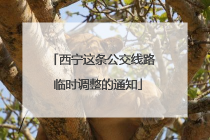西宁这条公交线路临时调整的通知