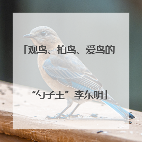 观鸟、拍鸟、爱鸟的“勺子王”李东明