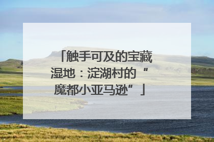 触手可及的宝藏湿地：淀湖村的“魔都小亚马逊”