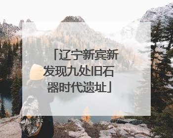 辽宁新宾新发现九处旧石器时代遗址