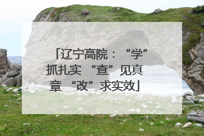 辽宁高院：“学”抓扎实 “查”见真章 “改”求实效