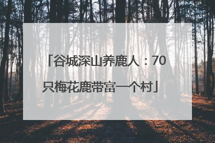 谷城深山养鹿人：70只梅花鹿带富一个村