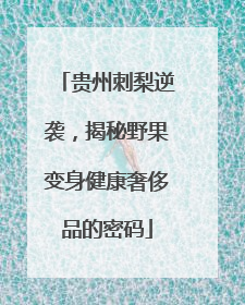 贵州刺梨逆袭,揭秘野果变身健康奢侈品的密码
