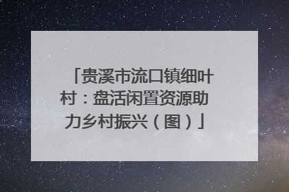 贵溪市流口镇细叶村：盘活闲置资源助力乡村振兴（图）