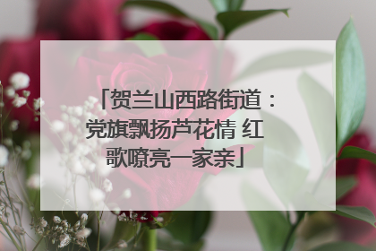 贺兰山西路街道：党旗飘扬芦花情 红歌嘹亮一家亲