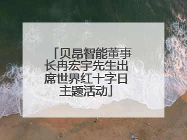 贝昂智能董事长冉宏宇先生出席世界红十字日主题活动