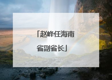 赵峰任海南省副省长