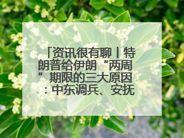 资讯很有聊丨特朗普给伊朗“两周”期限的三大原因：中东调兵、安抚国内、个人习惯