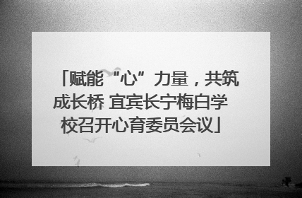 赋能“心”力量，共筑成长桥 宜宾长宁梅白学校召开心育委员会议