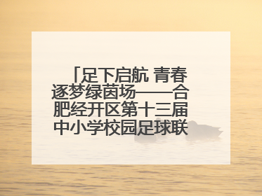 足下启航 青春逐梦绿茵场——合肥经开区第十三届中小学校园足球联赛圆满收官