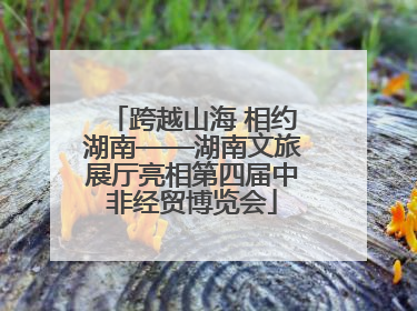 跨越山海 相约湖南——湖南文旅展厅亮相第四届中非经贸博览会