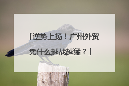 逆势上扬！广州外贸凭什么越战越猛？