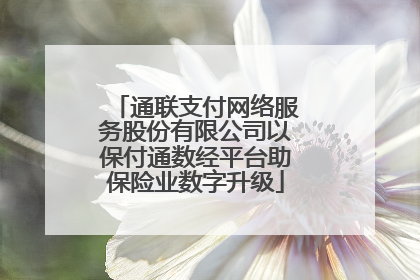 通联支付网络服务股份有限公司以保付通数经平台助保险业数字升级