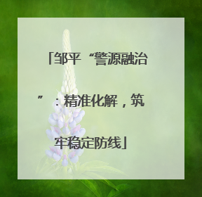 邹平“警源融治”：精准化解，筑牢稳定防线