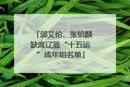 郭艾伦、张镇麟缺席辽篮“十五运”成年组名单