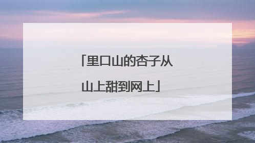 里口山的杏子从山上甜到网上