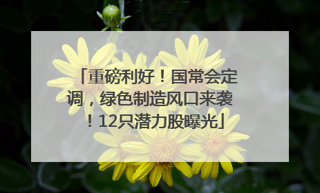 重磅利好！国常会定调，绿色制造风口来袭！12只潜力股曝光