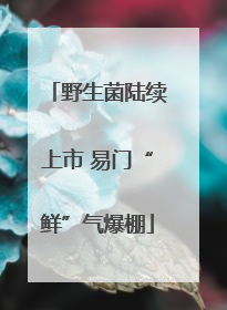 野生菌陆续上市 易门“鲜”气爆棚