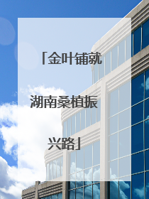 金叶铺就湖南桑植振兴路