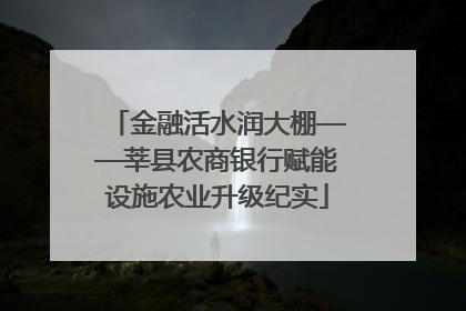 金融活水润大棚——莘县农商银行赋能设施农业升级纪实