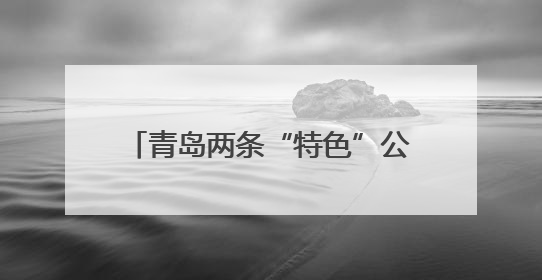 青岛两条“特色”公交线路有调整 昔日最长线312路停运