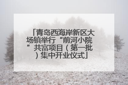 青岛西海岸新区大场镇举行“前河小院”共富项目（第一批）集中开业仪式
