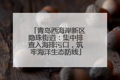 青岛西海岸新区隐珠街道：集中排查入海排污口，筑牢海洋生态防线