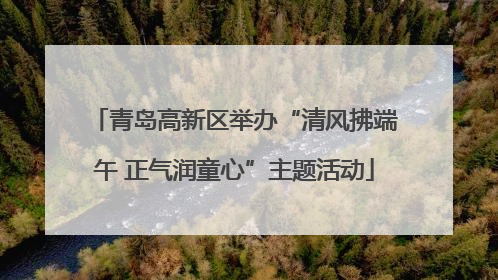 青岛高新区举办“清风拂端午 正气润童心”主题活动