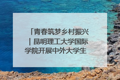 青春筑梦乡村振兴｜昆明理工大学国际学院开展中外大学生社会实践活动