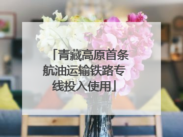 青藏高原首条航油运输铁路专线投入使用