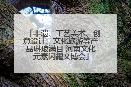 非遗、工艺美术、创意设计、文化旅游等产品琳琅满目 河南文化元素闪耀文博会